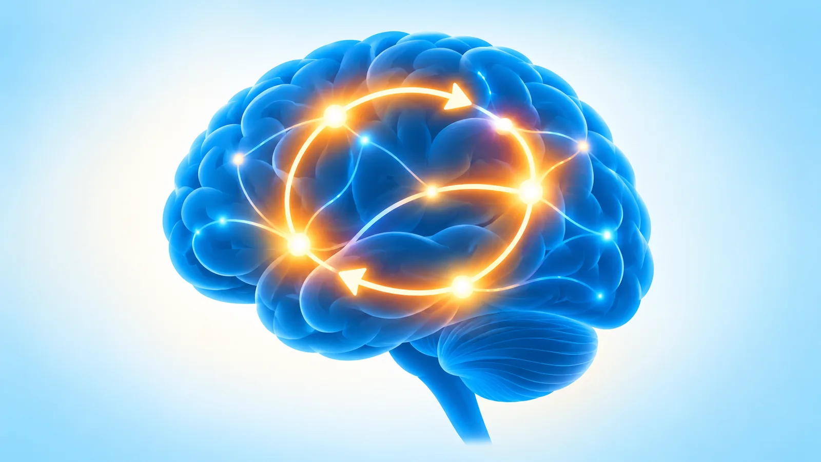Rappresentazione del ciclo segnale-routine-ricompensa nel cervello