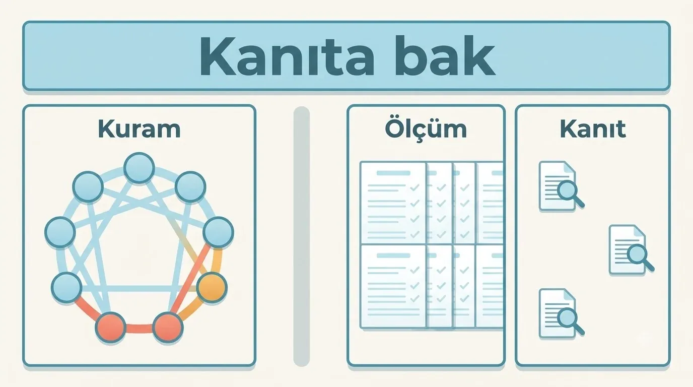 Çemberde 4 ana tipinin iki yanındaki 3 ve 5 vurgulanır; iç bağlantılar soluk bırakılır.