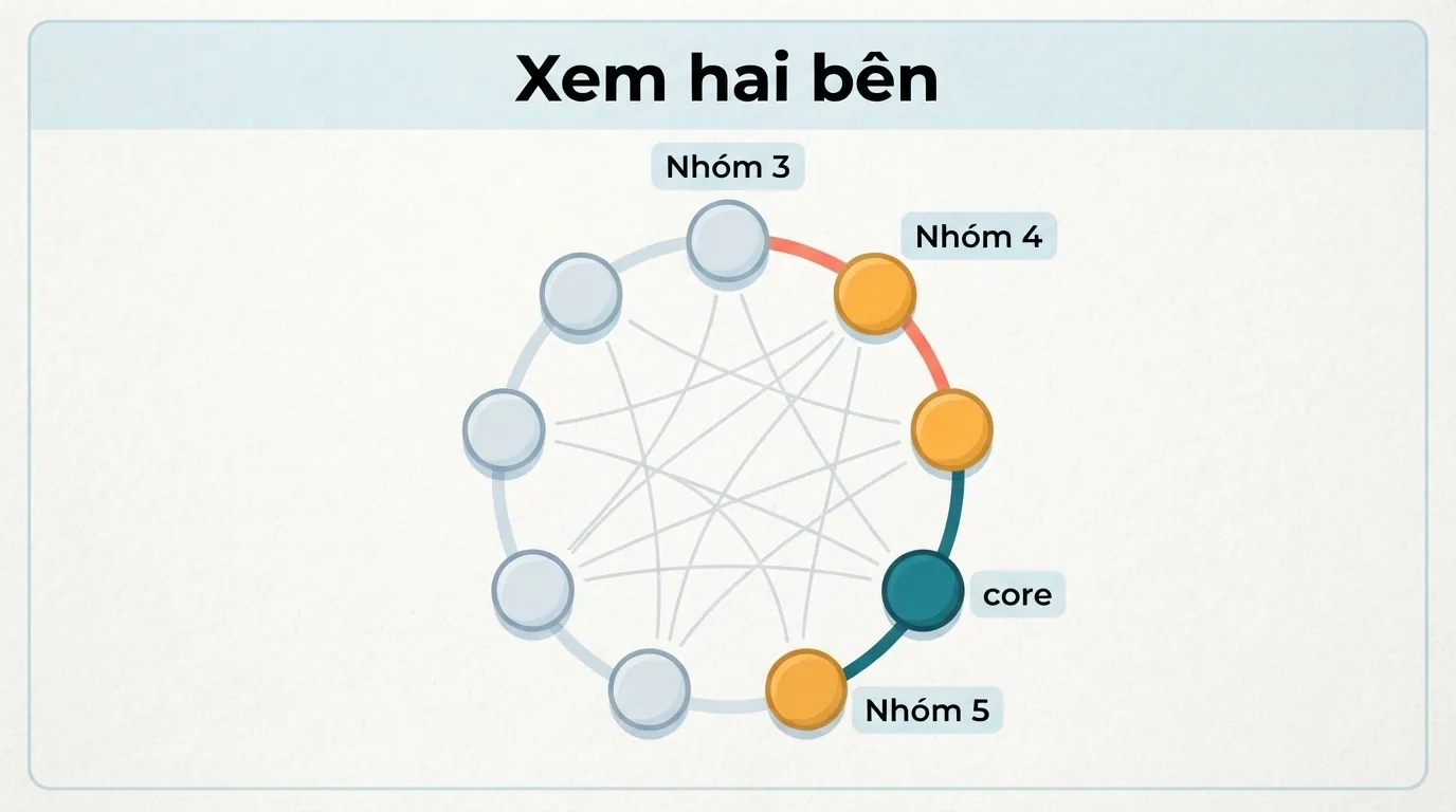 Nhóm 4 nằm giữa nhóm 3 và nhóm 5 trên đường tròn; hai cánh được xác định theo vị trí liền kề, không theo đường
